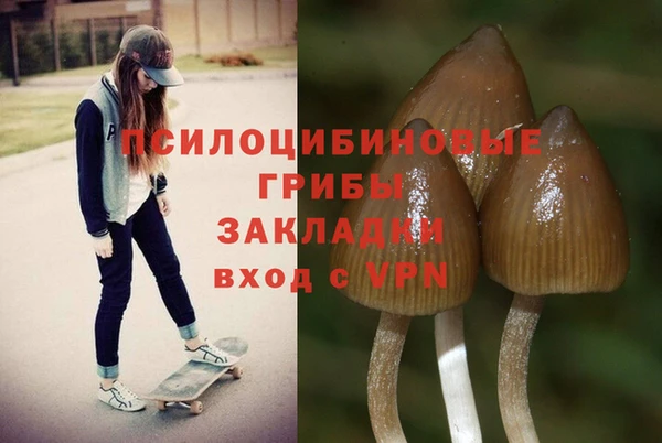 СК Ладушкин